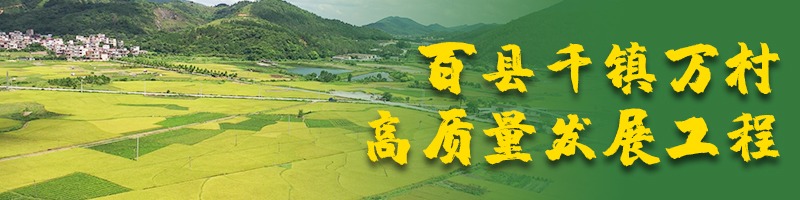 百县千镇万村高质量发展工程